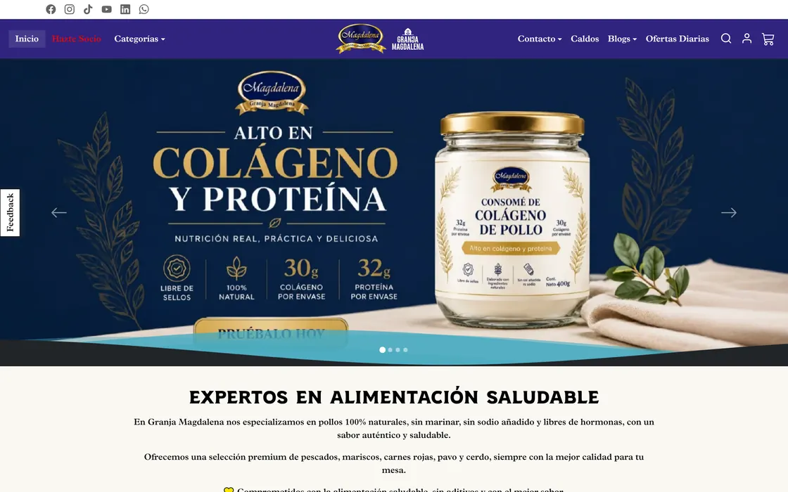 Portada del sitio de Granja Magdalena en computador